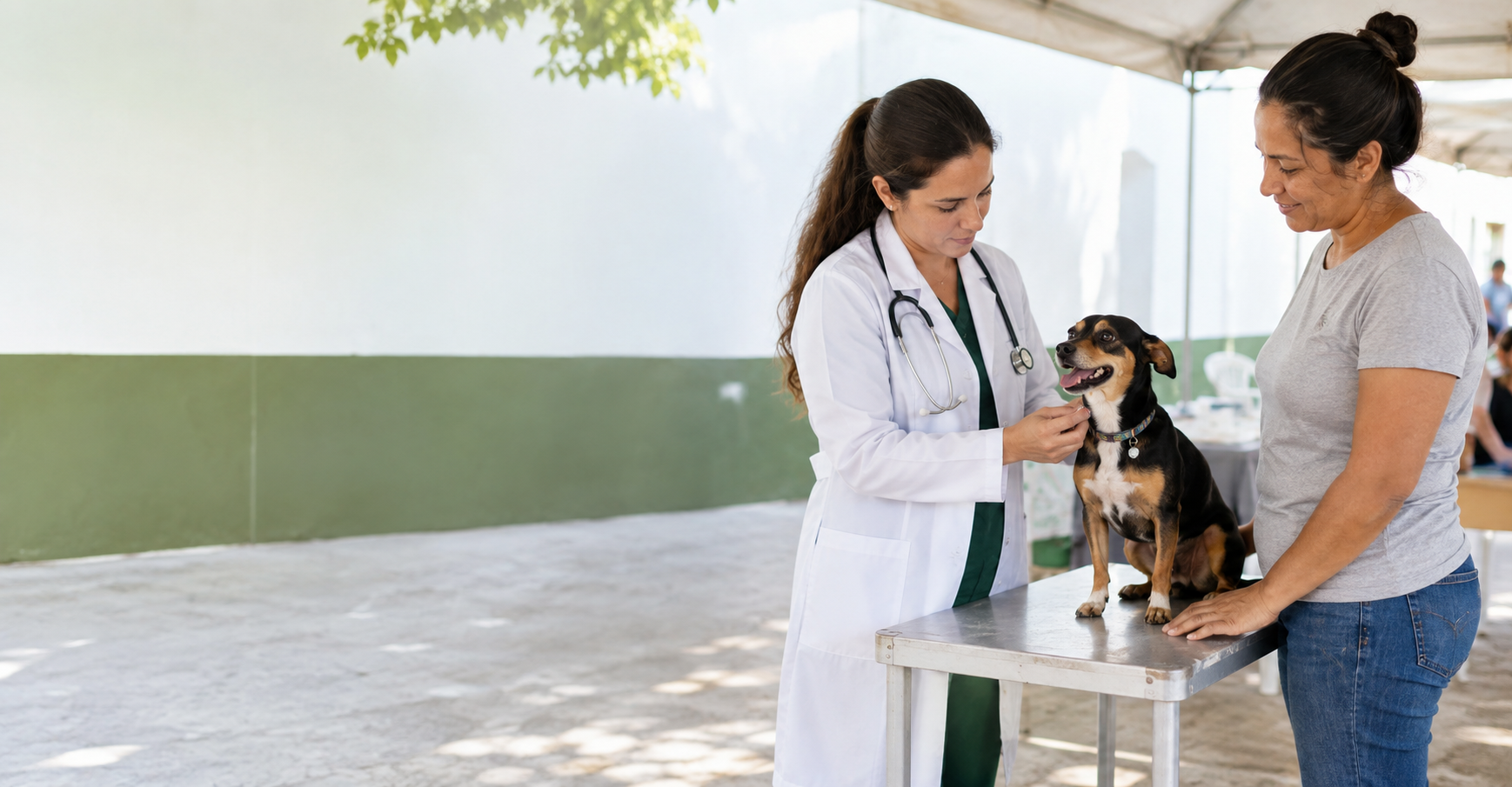 Cachorro em atendimento veterinário preventivo
